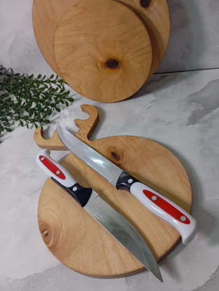 تصویر از کاردتیغه شمشیری 5اینچ