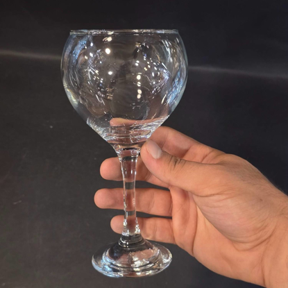 تصویر از گیلاس جونیور2