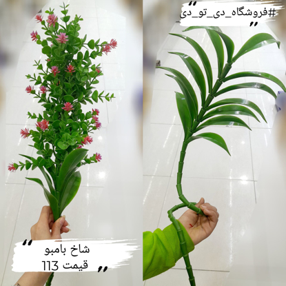 تصویر از شاخه بامبو