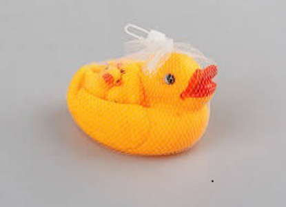 تصویر از اردک حمام