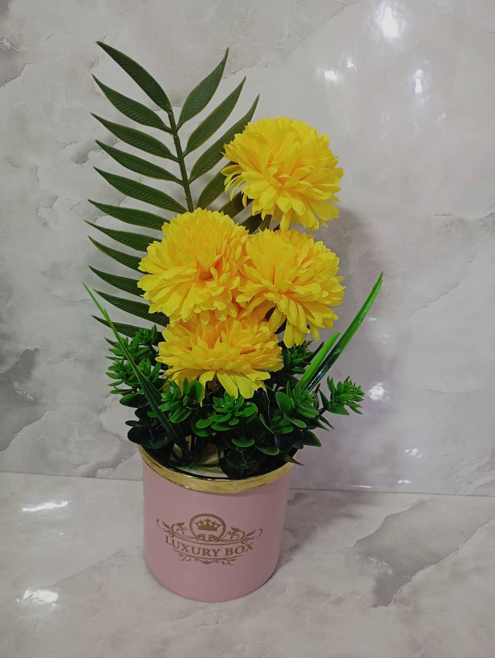 تصویر از باکس داوودی