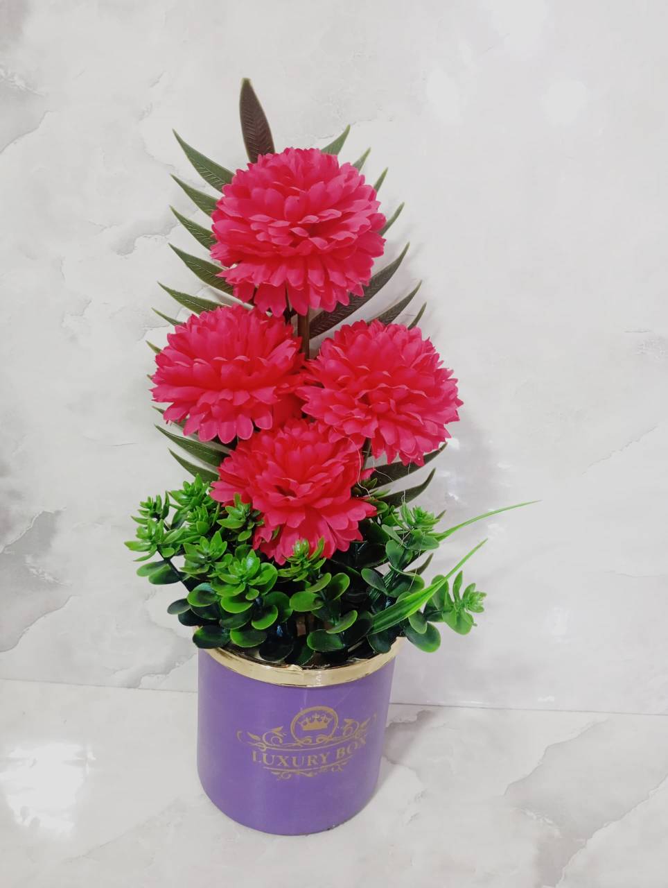 تصویر از باکس داوودی