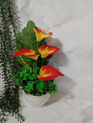 تصویر از رز3 p