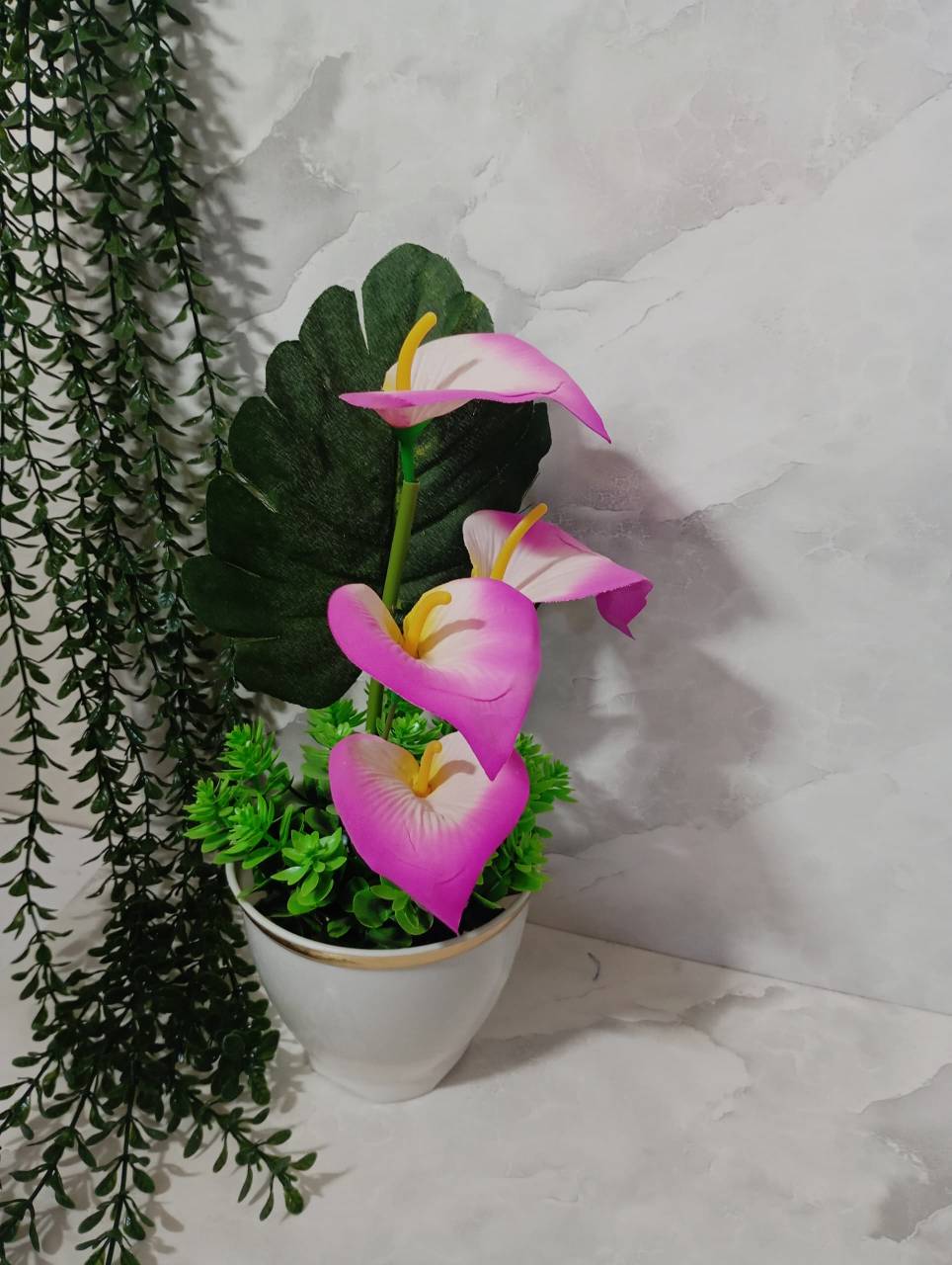 تصویر از رز3 p