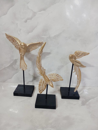 تصویر از پرستو3عددی