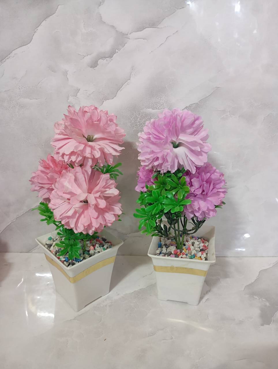 تصویر از داوودی 3گل مربع