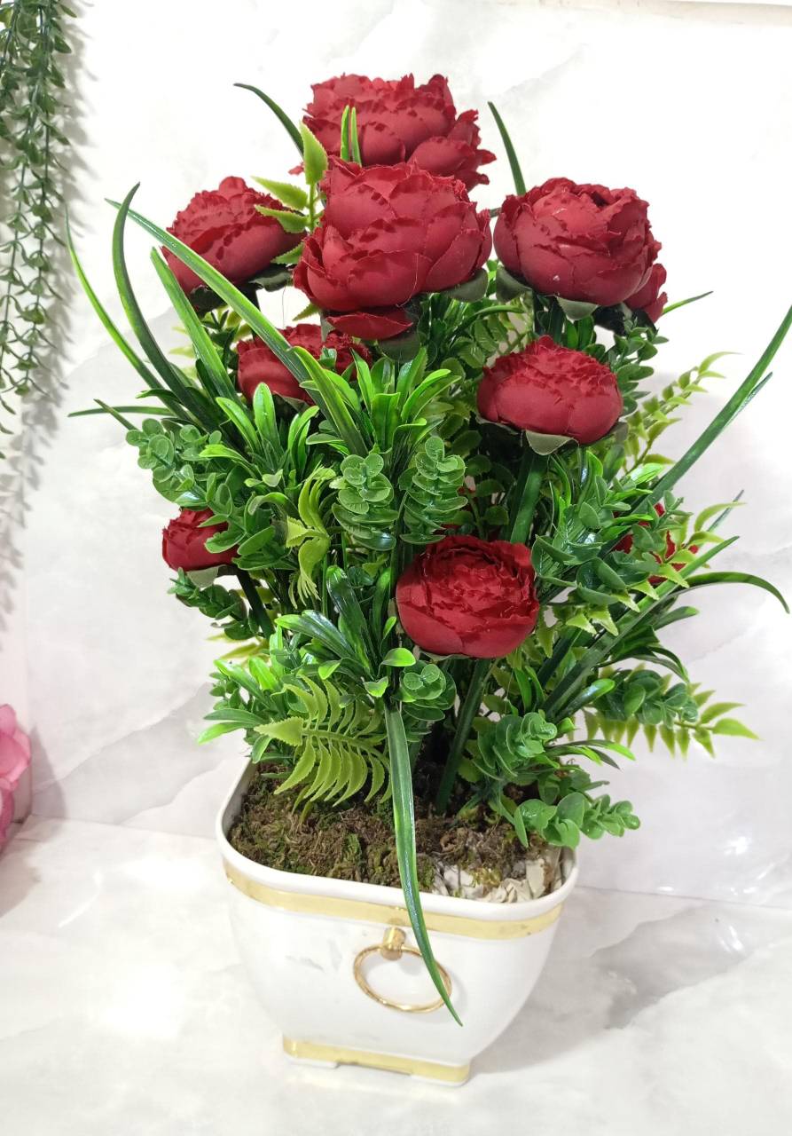 تصویر از پیونی13گل