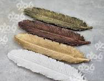 تصویر از جاعودی پر404