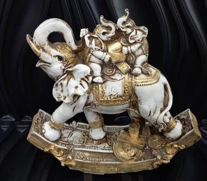 تصویر از فیل ثروت