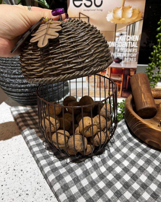 تصویر از جاگردو