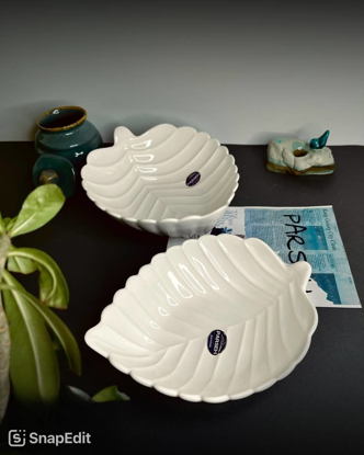 تصویر از کاسه برگ کد61