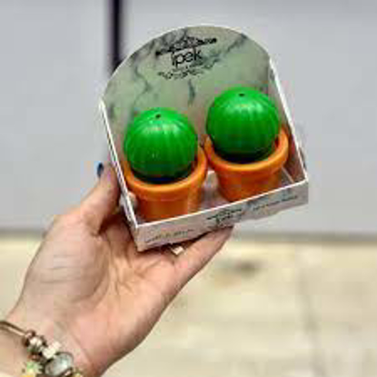 تصویر از نمکپاش وفلفل پاش جفتی کاکتوسی