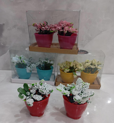 تصویر از باکس ریز2تایی