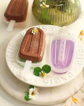 تصویر از قالب بستنی سیلیکونی