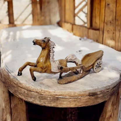 تصویر از اسب105