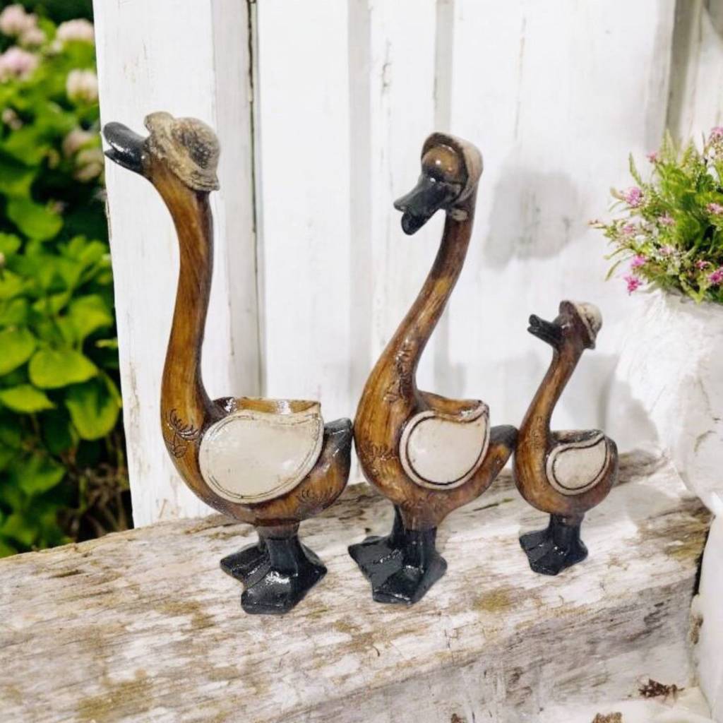 تصویر از اردکی