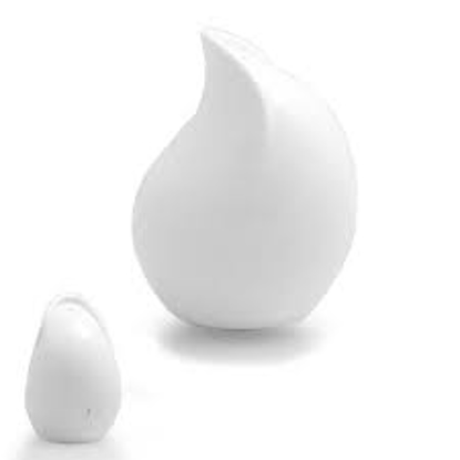 تصویر از نمک پاش6عددی نسترن