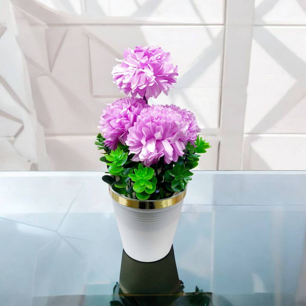 تصویر از داوودی5گل