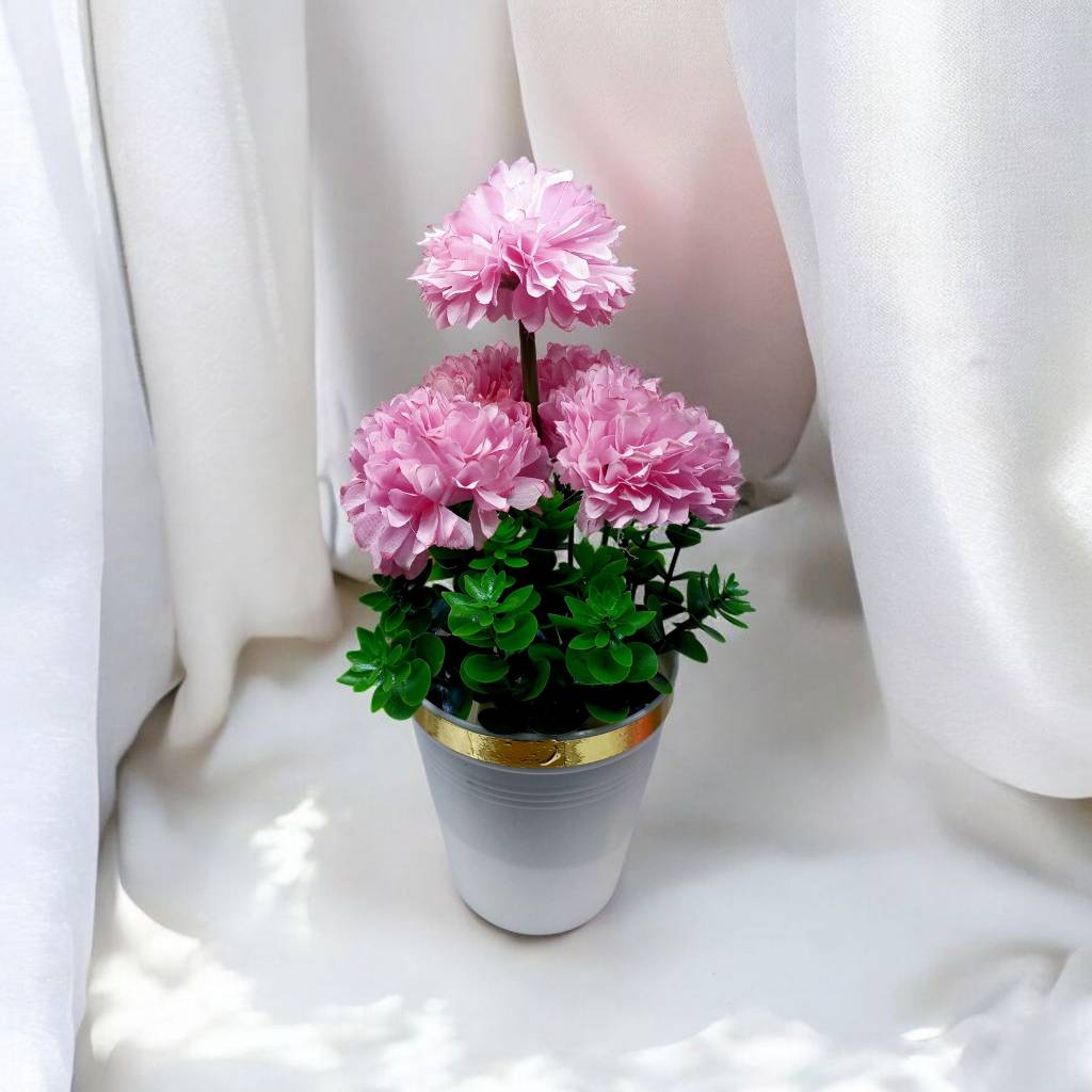 تصویر از داوودی5گل