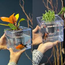 تصویر از گلدان اکواریوم